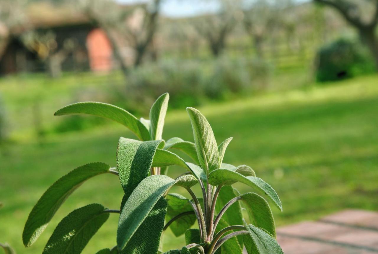 Agriturismo La Mandragola Relais Crotone Exterior photo