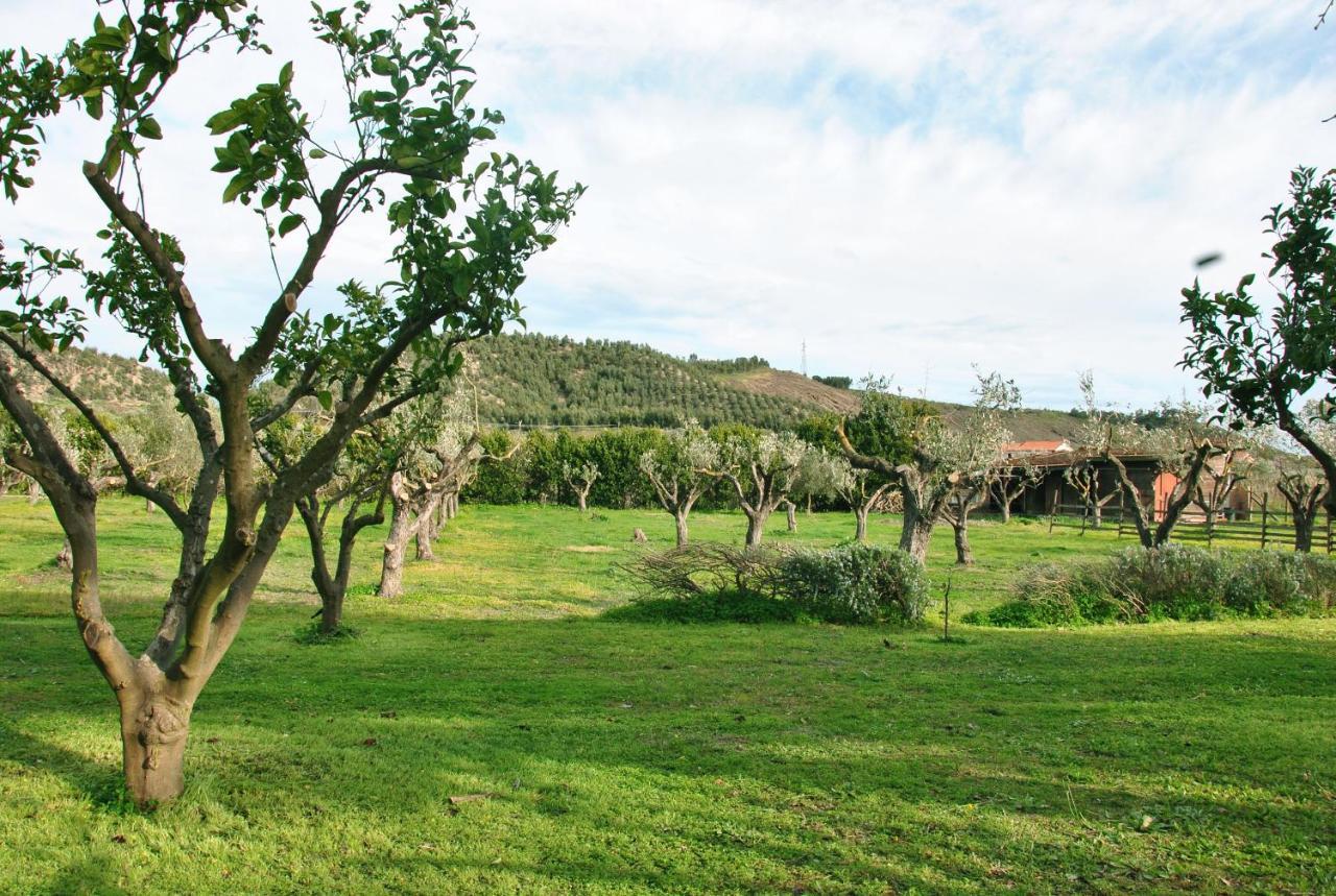 Agriturismo La Mandragola Relais Crotone Exterior photo